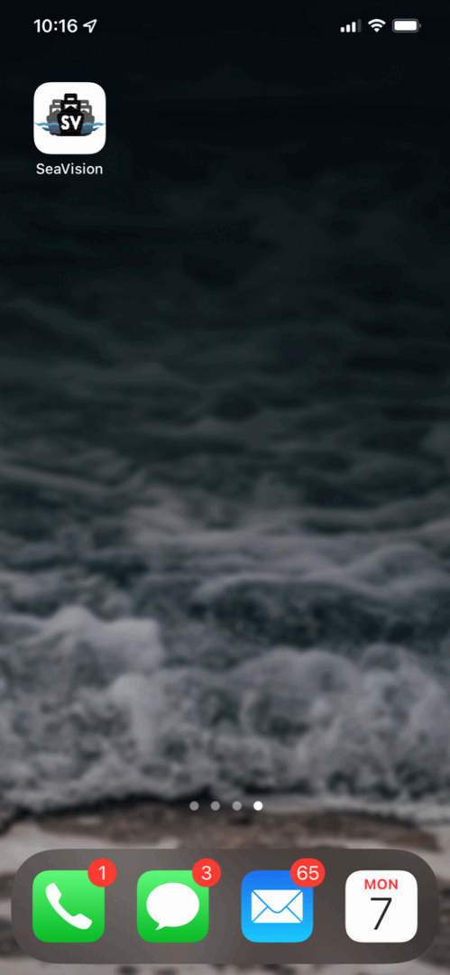 একটি iOS ডিভাইসের হোম স্ক্রিনের একটি স্ক্রিনশট যেখানে একটি তীর SeaVision দেখাচ্ছে
